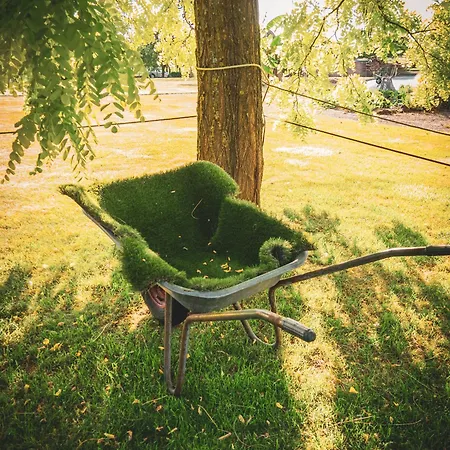 別荘 L'echappee Des Collines - Tiny House Frasnes-lez-Anvaing