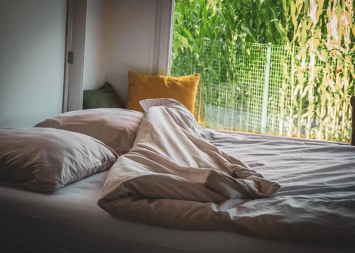 L'echappee Des Collines - Tiny House 別荘